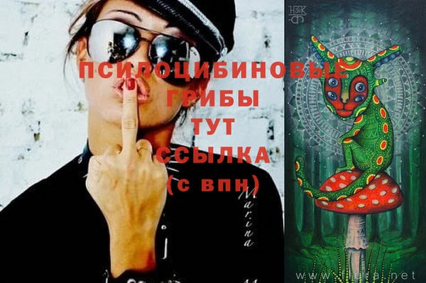 стафф Абдулино