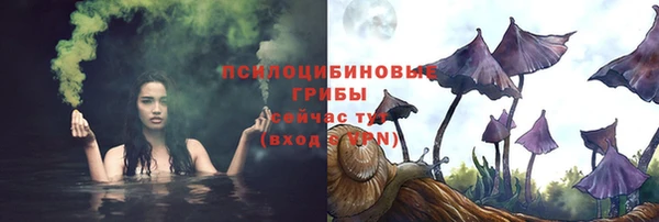 стафф Абдулино