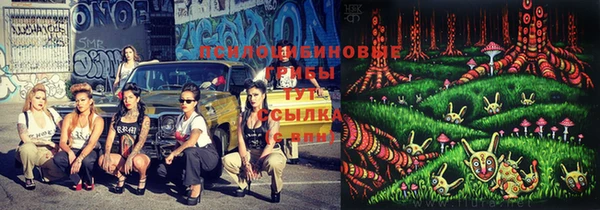 стафф Абдулино
